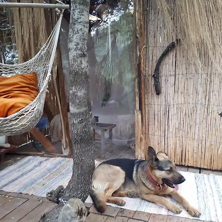 Cadi Camping * Faralya